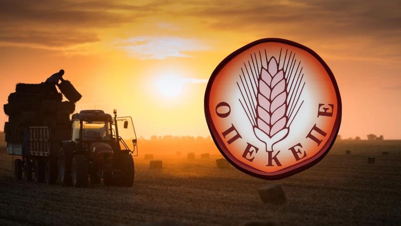 ΟΠΕΚΕΠΕ: Κατ’ οίκον περιορισμός με «βραχιολάκι» για την πρώην σύζυγο του φερόμενου αρχηγού-