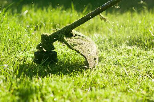 Οικόπεδα και ακάλυπτοι χώροι: Υποχρεωτικά μέτρα πυροπροστασίας